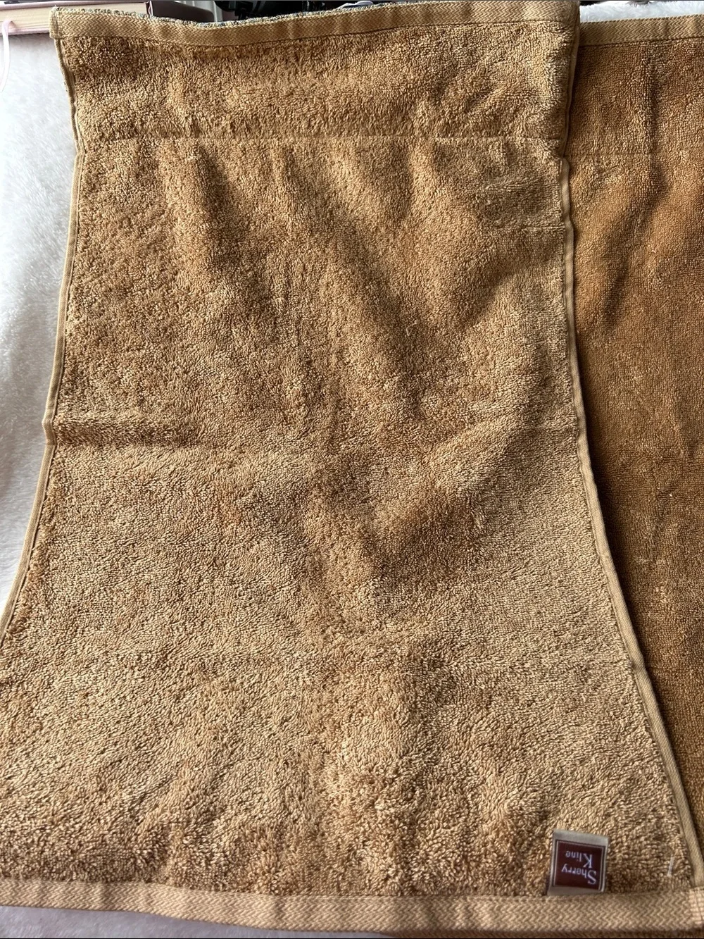 Sherry Kline Golden Brown Decorative Hand Towels with Paisley Trim set of 2